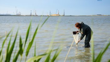  Ученые проводят мониторинг водных биоресурсов в районе строительства Крымского моста
