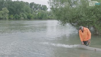 Первая партия молоди русского осетра выпущена в водоемы по экопрограмме Крымского моста
